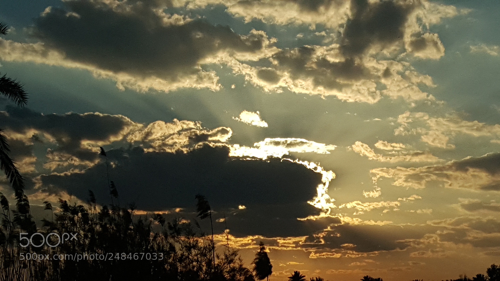 Samsung Galaxy Note5 sample photo. Untitled photography