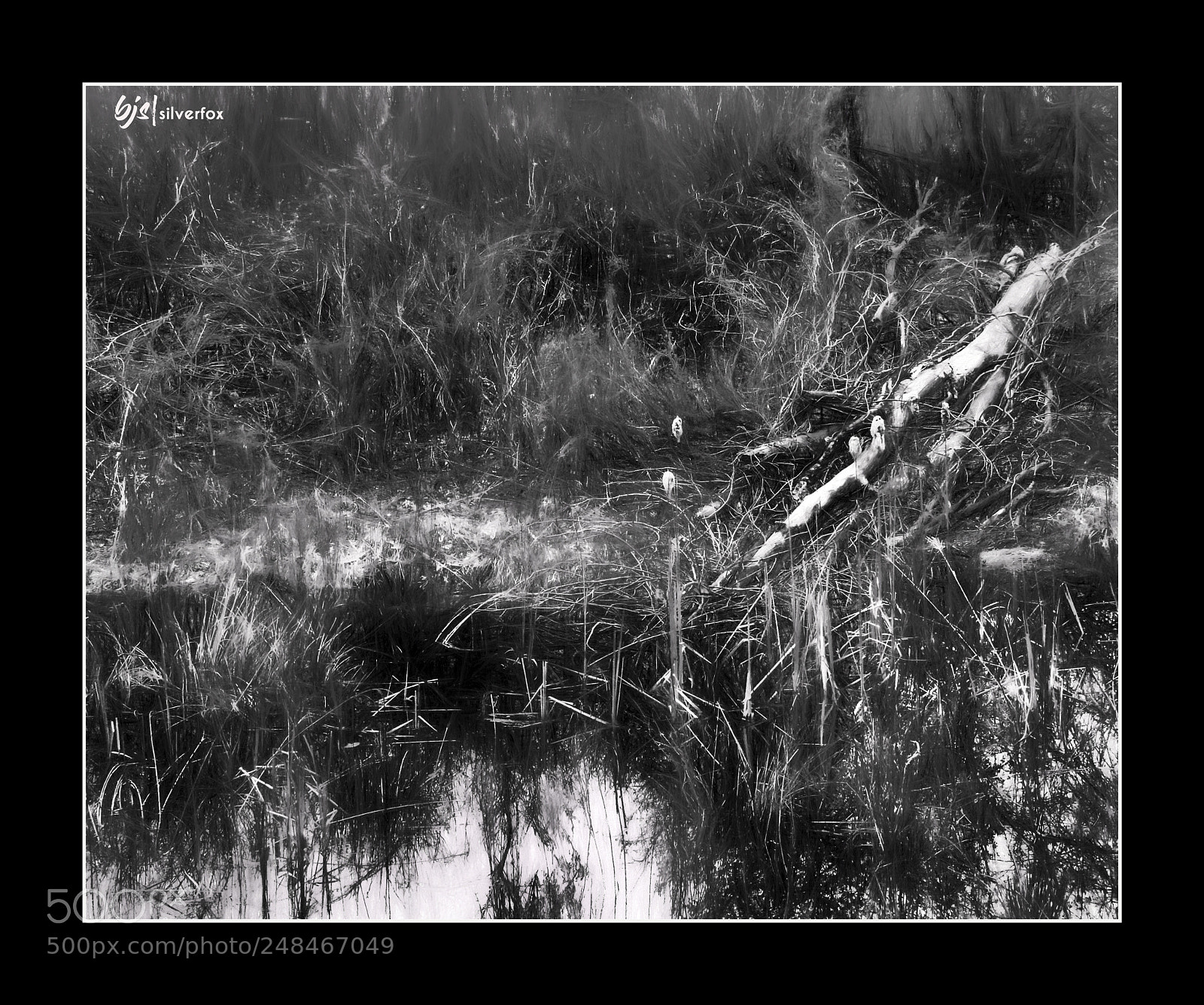 Panasonic Lumix DMC-FZ300 sample photo. Dark on the marsh photography