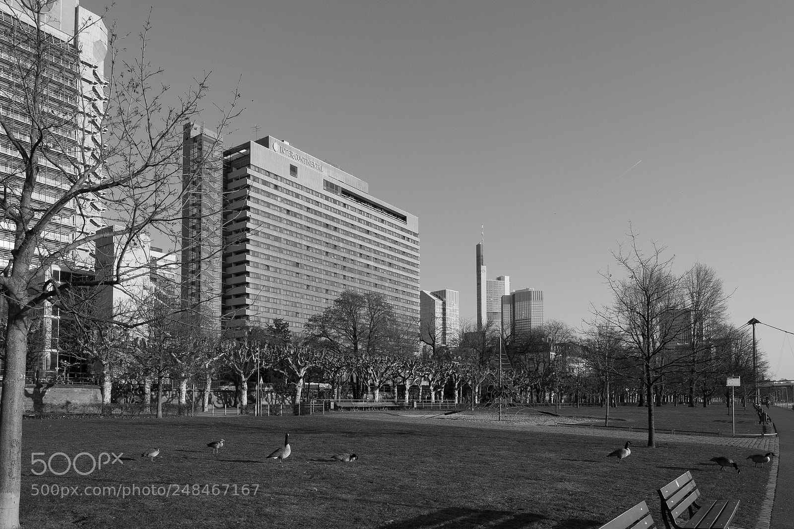 Nikon D7100 sample photo. Mainufer' photography