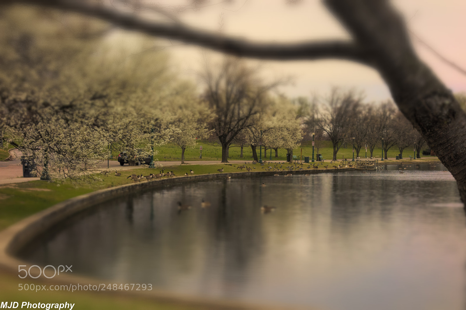 Sony Cyber-shot DSC-RX100 sample photo. Today at fountain lake photography