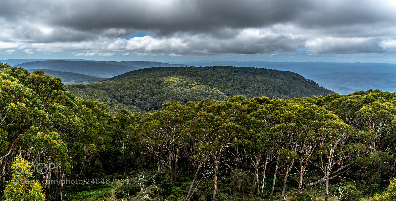 Sony a7R II sample photo. Mt donna buang australia photography
