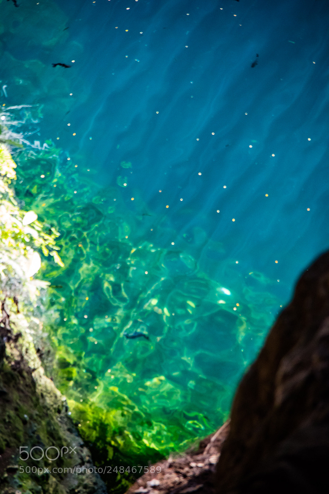 Canon EOS M3 sample photo. Cenote photography