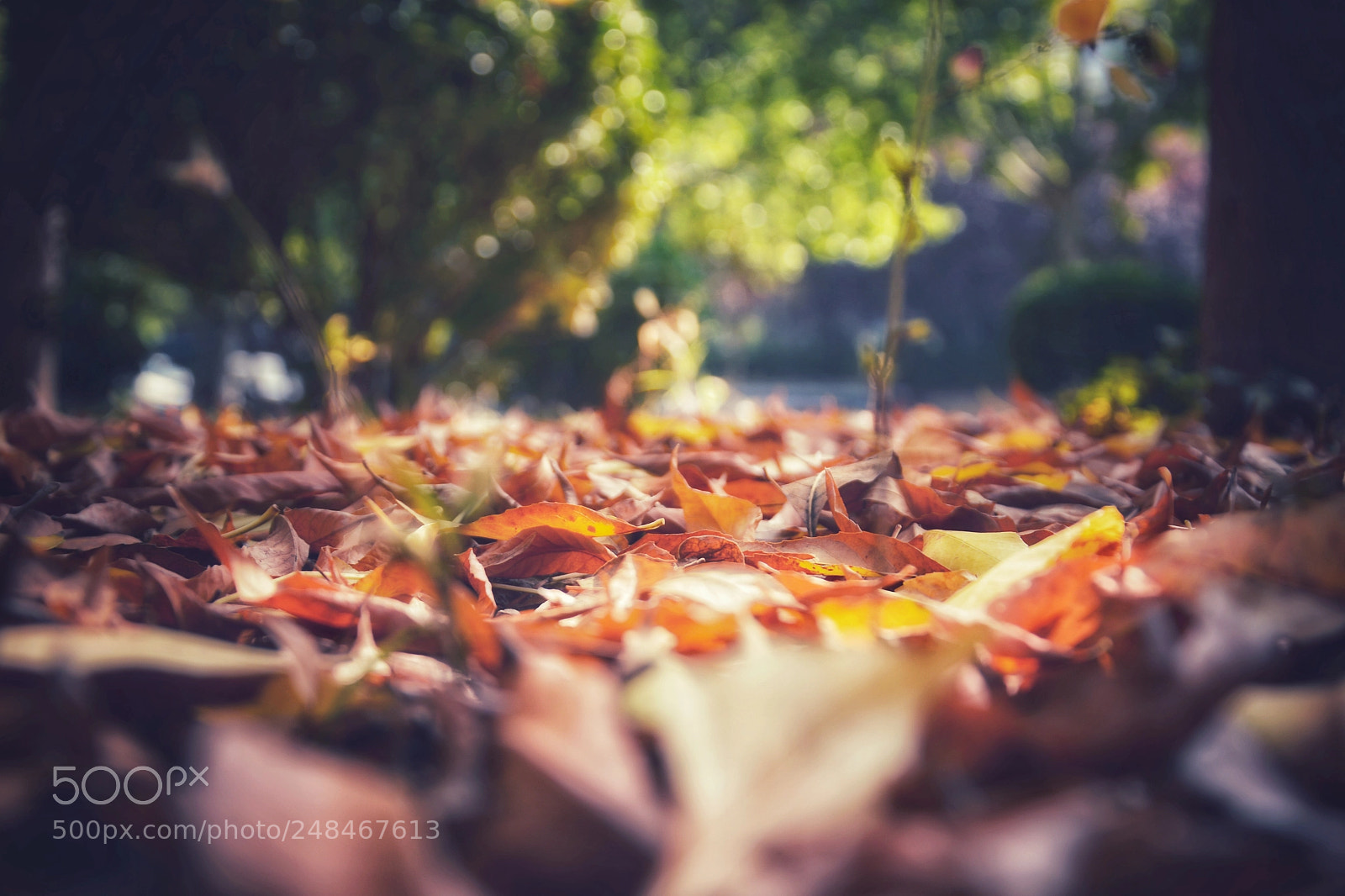 Nikon D7100 sample photo. Untitled photography