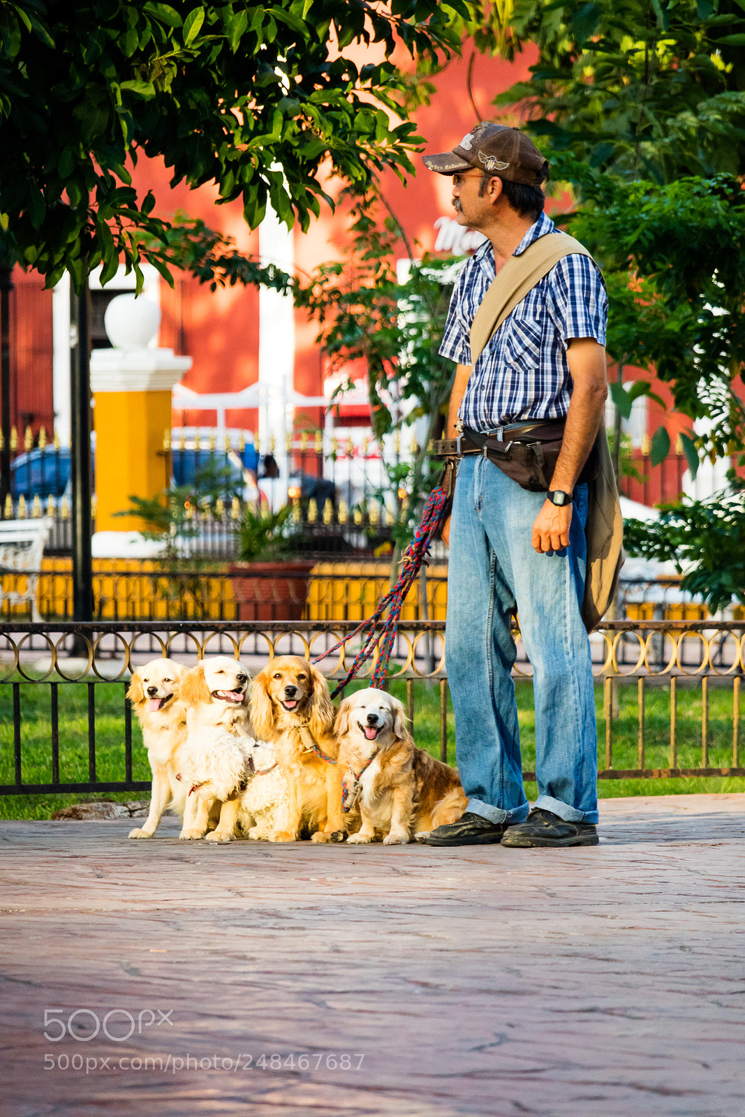 Canon EOS M3 sample photo. Dogs and a man photography