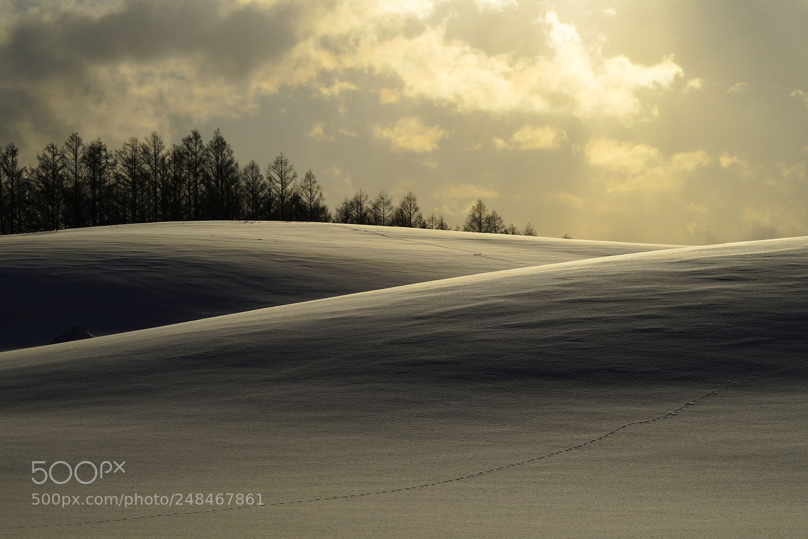 Sony a99 II sample photo. Small footsteps on the photography