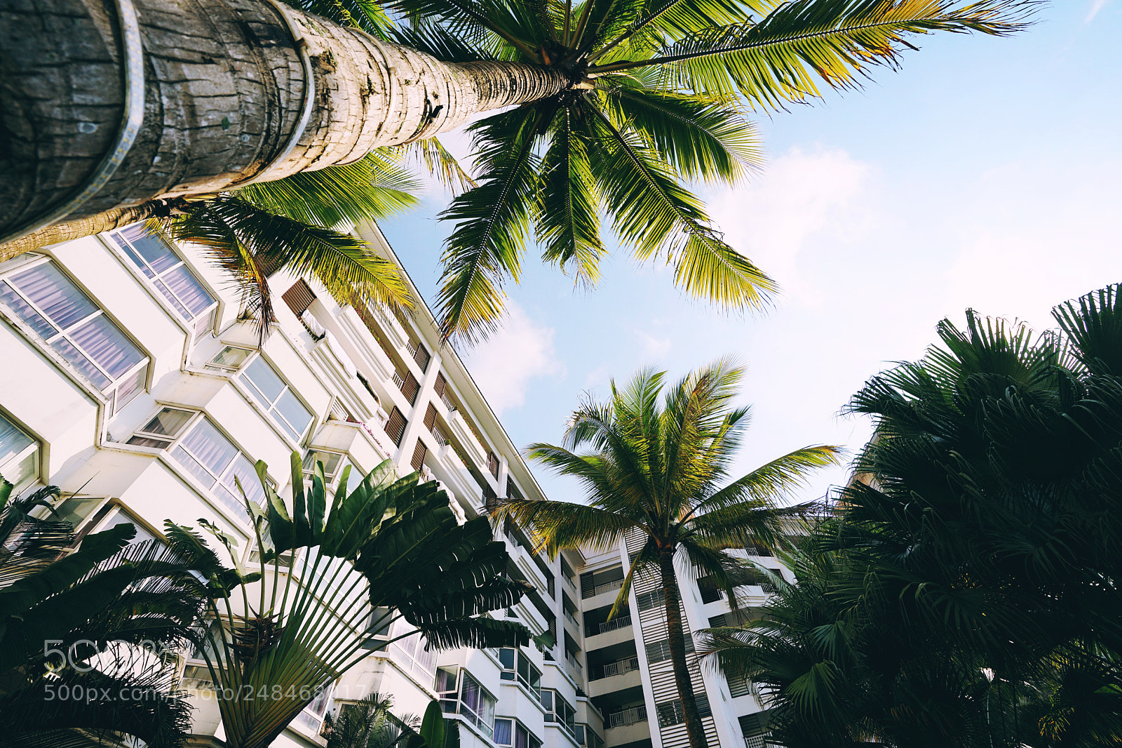 Sony a7 II sample photo. Summer hotel photography