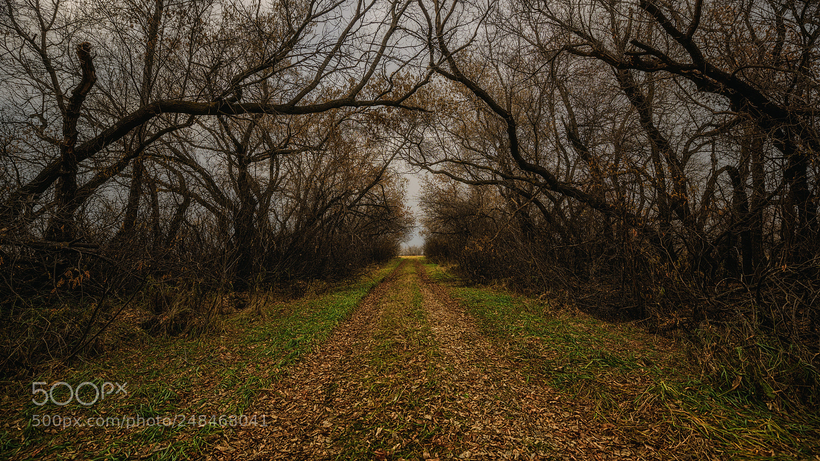 Nikon D810 sample photo. The great escape photography