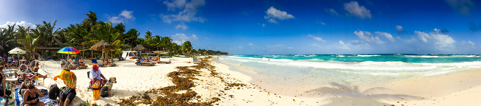 Apple iPhone 6 sample photo. Beach photography