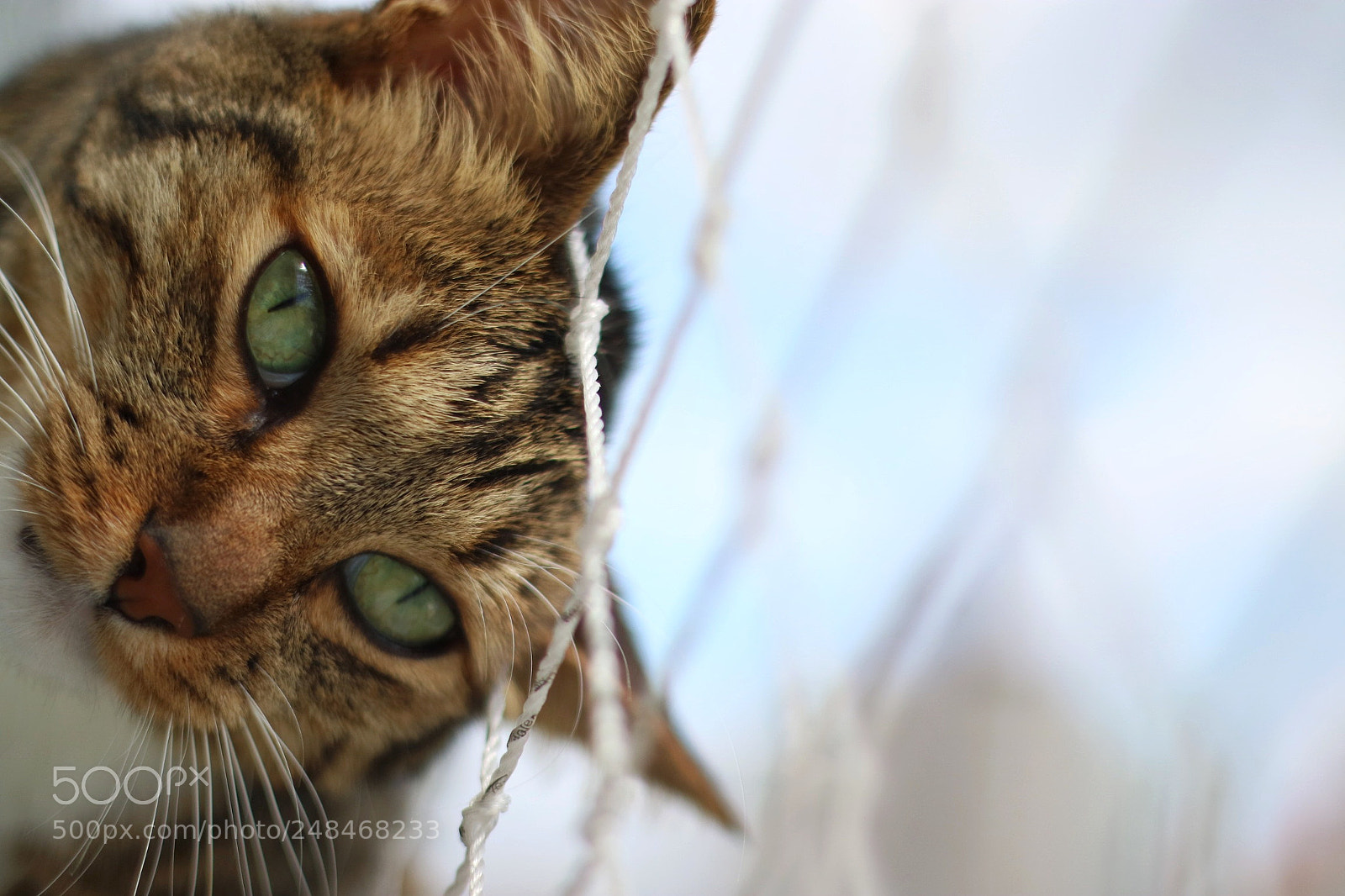 Canon EOS M3 sample photo. How you doing photography