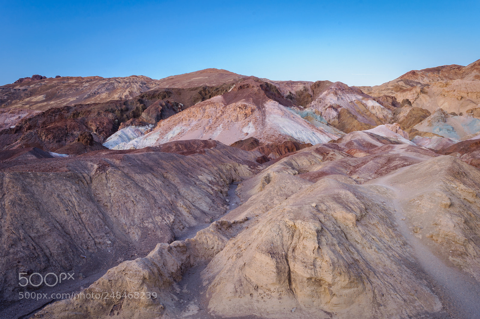 Nikon D5000 sample photo. Artist's palette photography