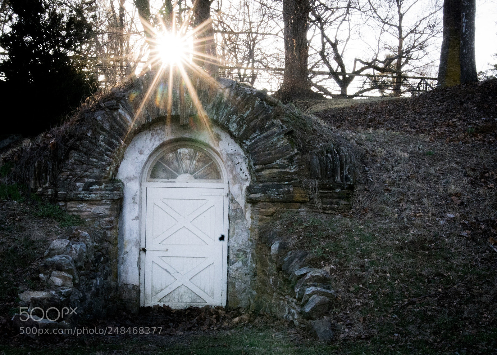Sony SLT-A68 sample photo. Untitled photography