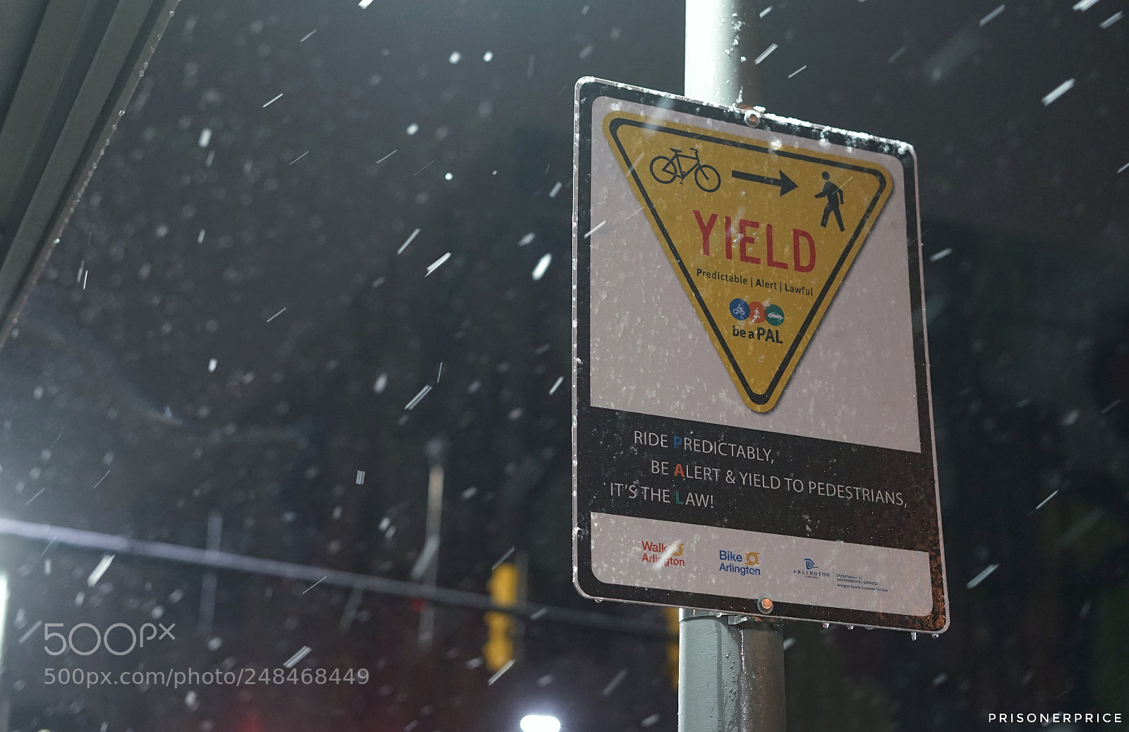 Sony a7 II sample photo. Snow in march photography