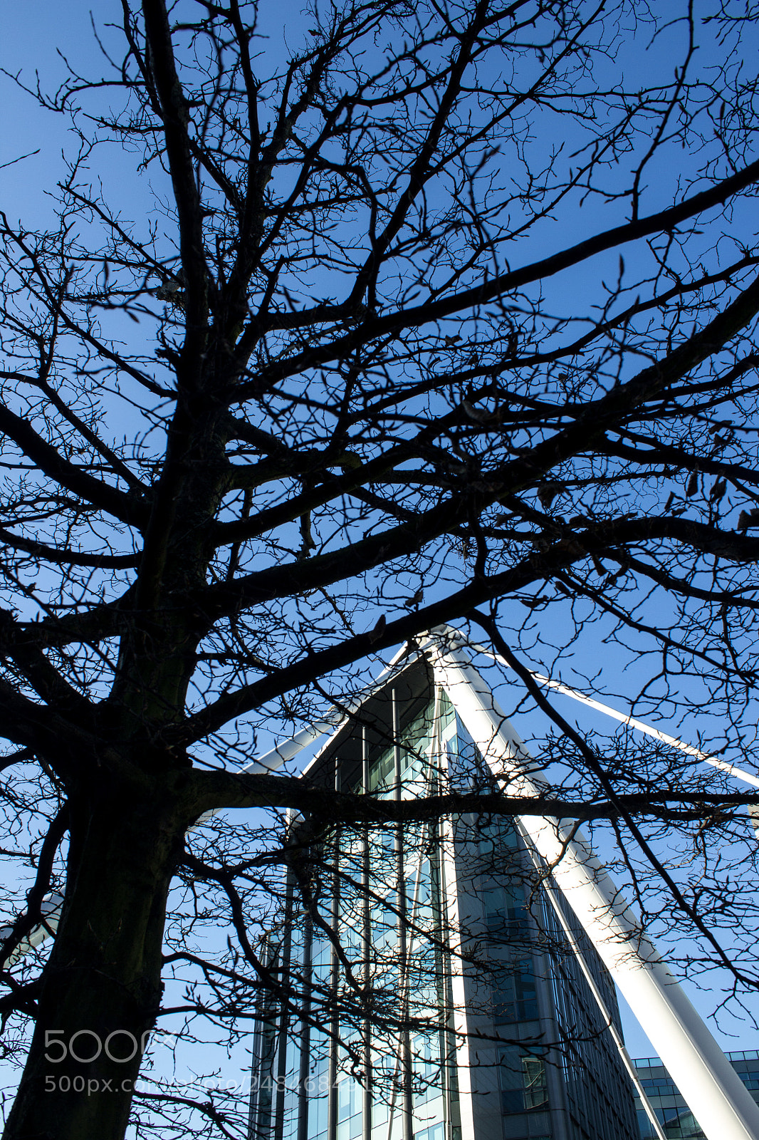 Canon EOS 600D (Rebel EOS T3i / EOS Kiss X5) sample photo. L'arbre et l'architecture photography