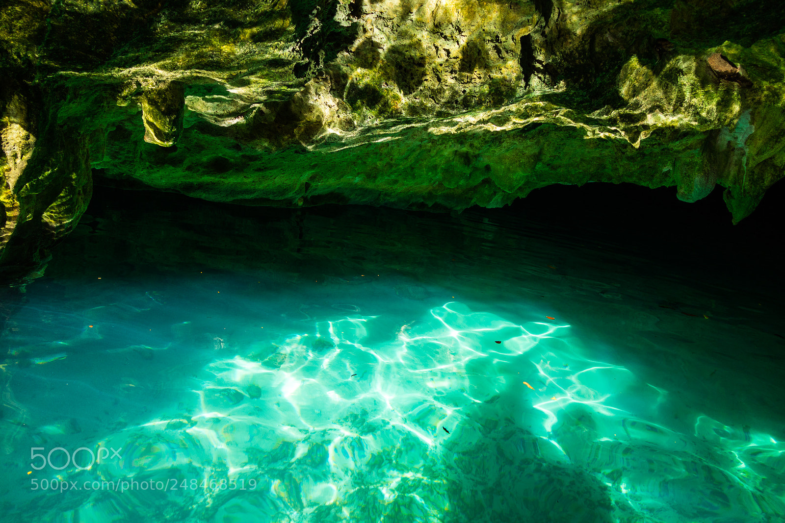 Canon EOS M3 sample photo. Cenote photography