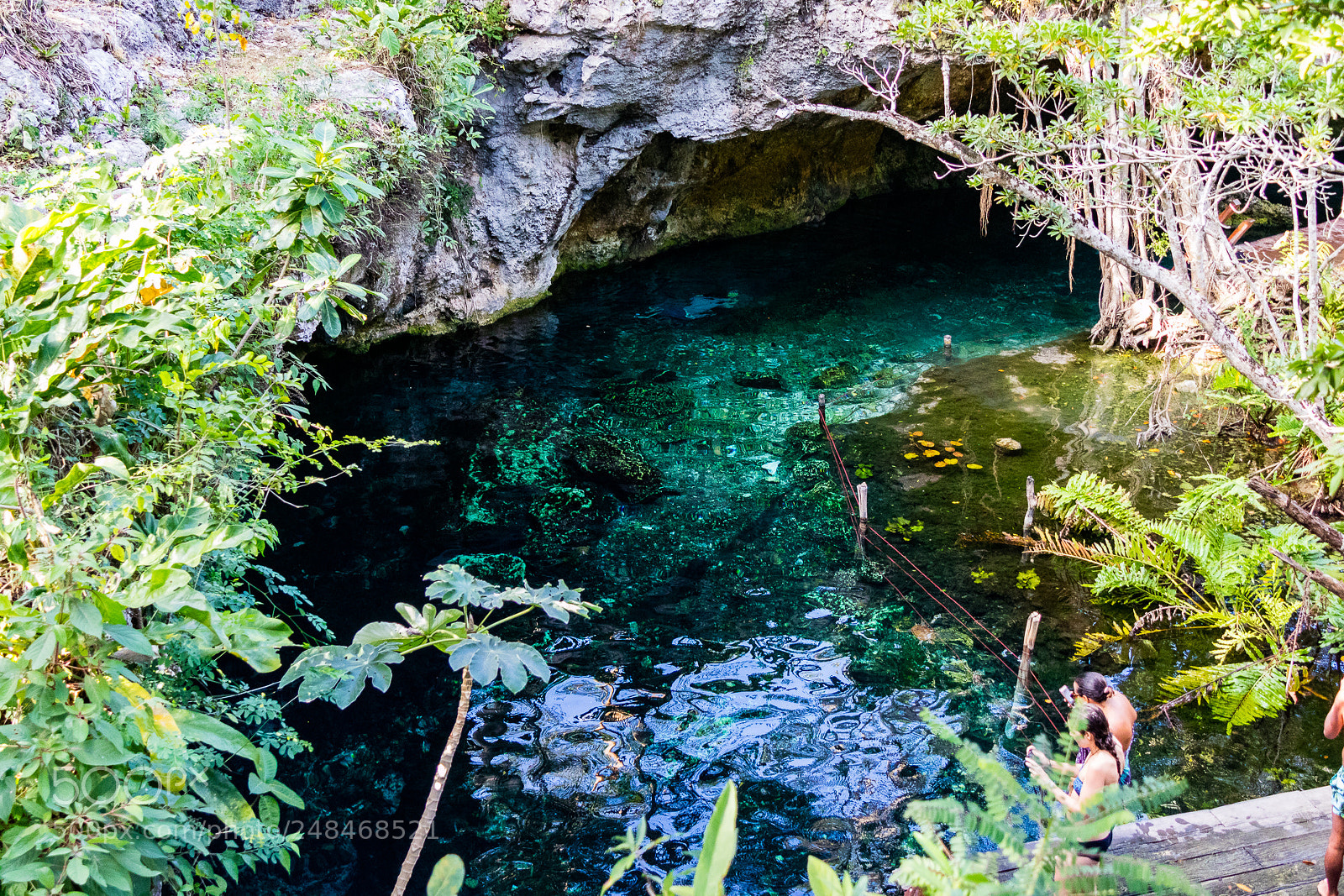 Canon EOS M3 sample photo. Cenote photography