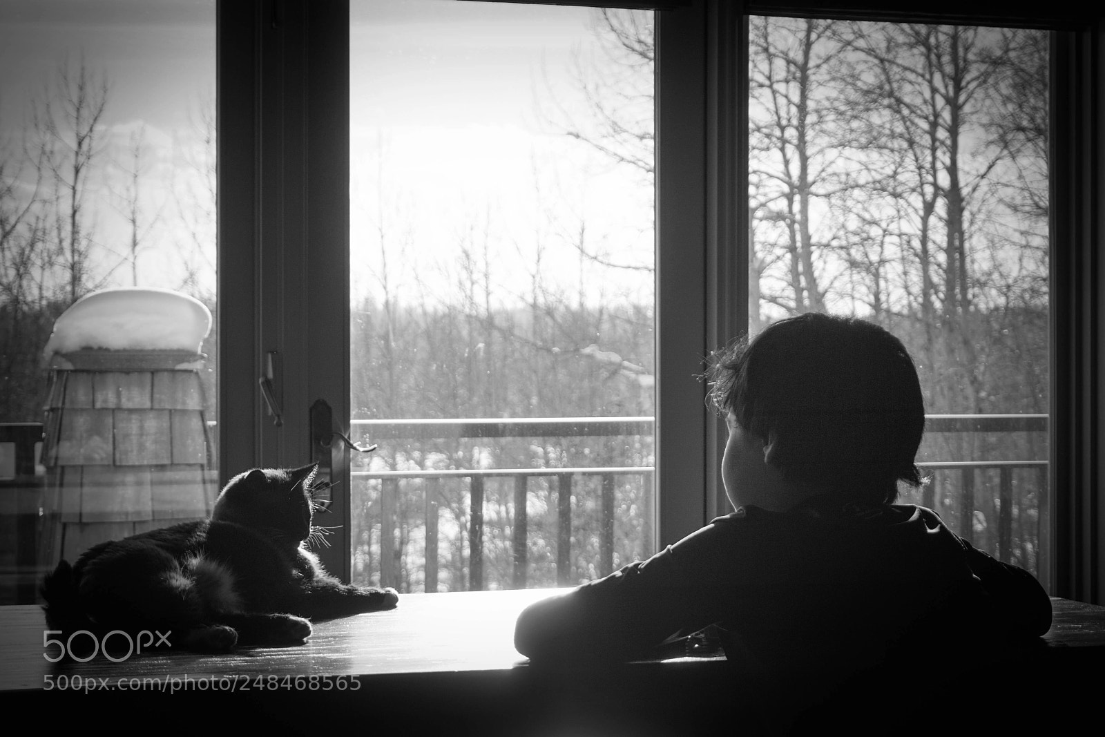 Sony a6000 sample photo. The afternoon sun photography