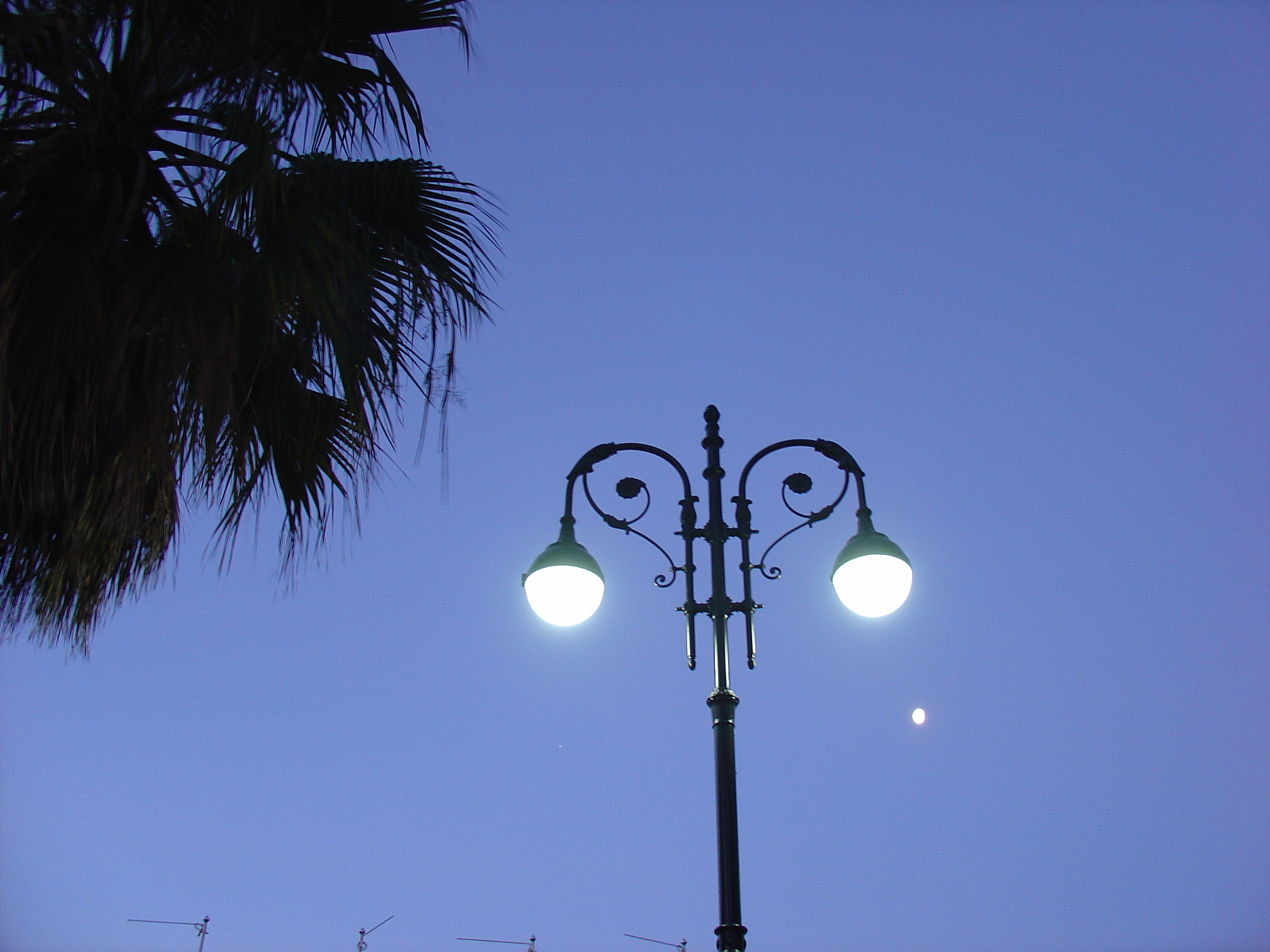 Sony DSC-V1 sample photo. Lamp photography