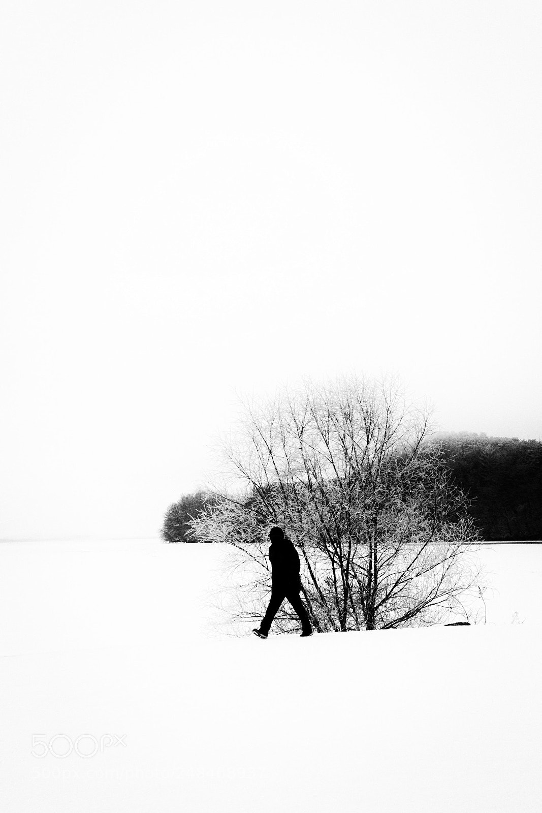 Canon EOS 100D (EOS Rebel SL1 / EOS Kiss X7) sample photo. A man in frozen photography