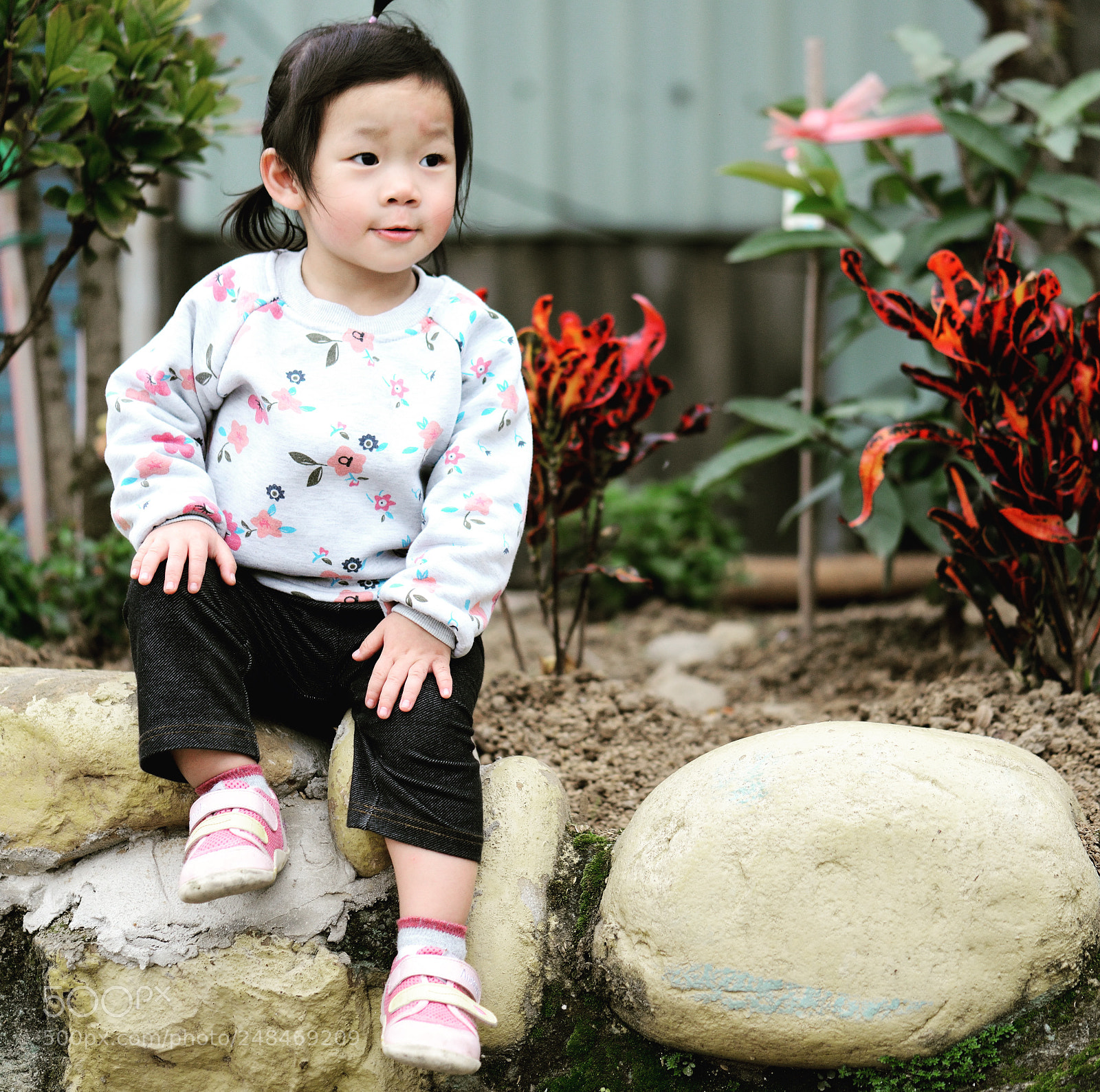 Nikon D800 sample photo. Untitled photography