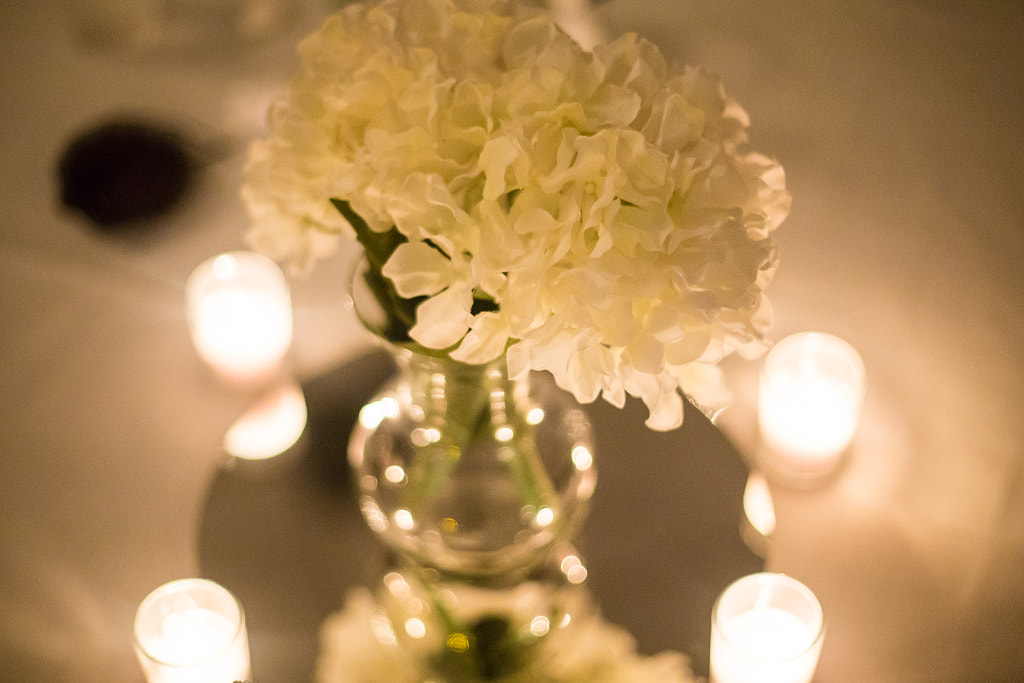 Photo by http://www.chelseamuellerphotography.com/ by Jacqueline and Kevin Reape on 500px.com