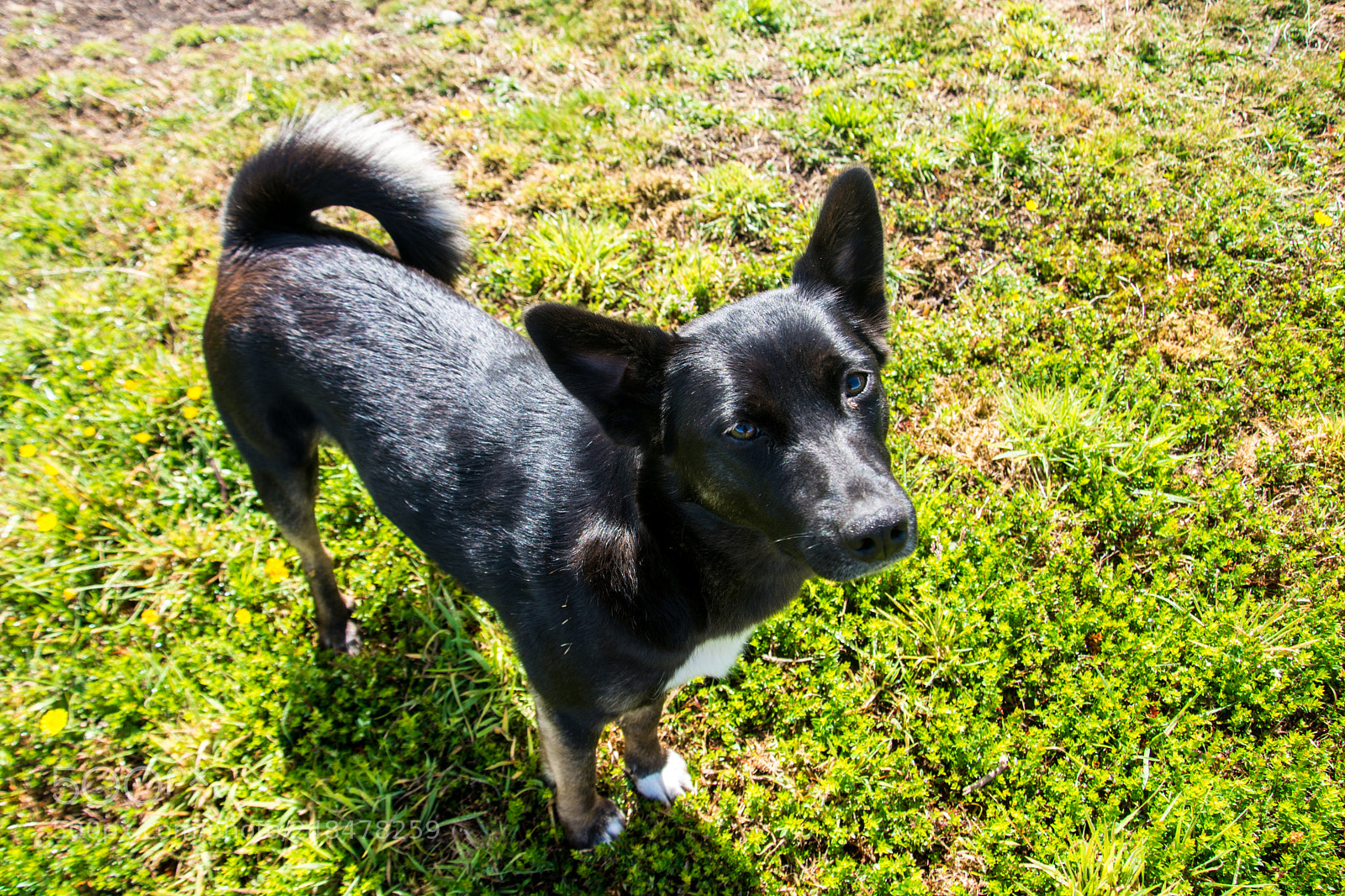 Nikon D7100 sample photo. Josefi photography
