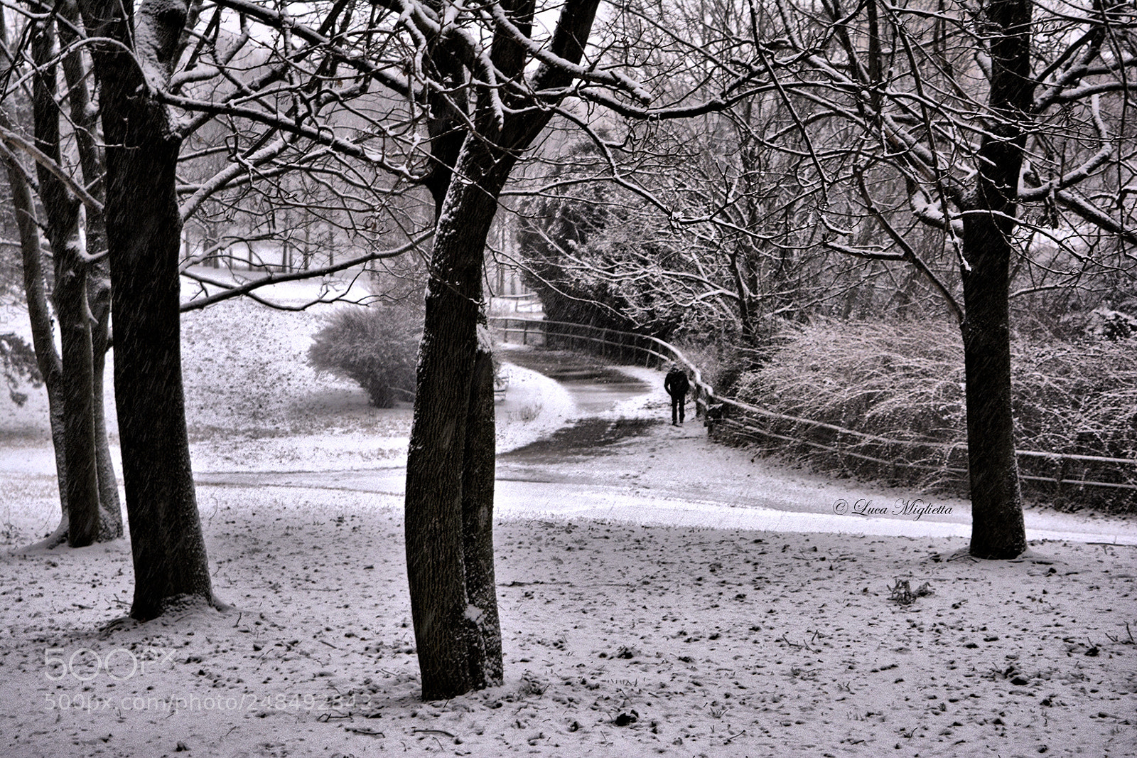 Nikon D5200 sample photo. Let it snow photography