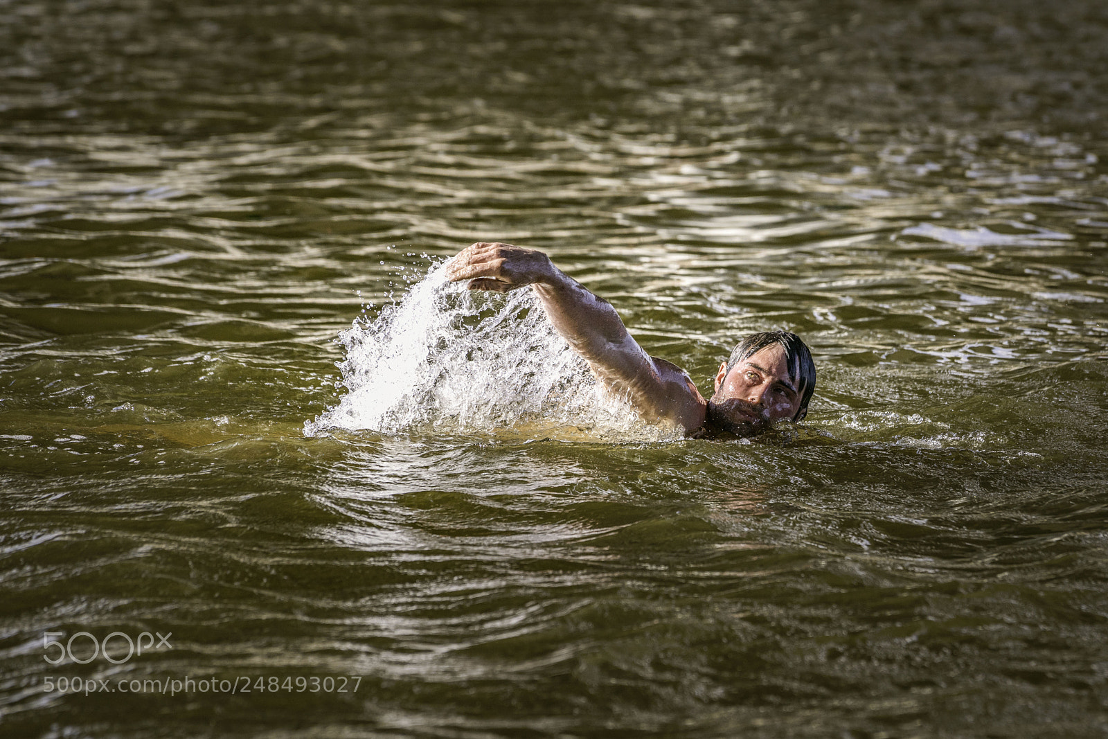 Sony a7R II sample photo. Aspie swimmer photography
