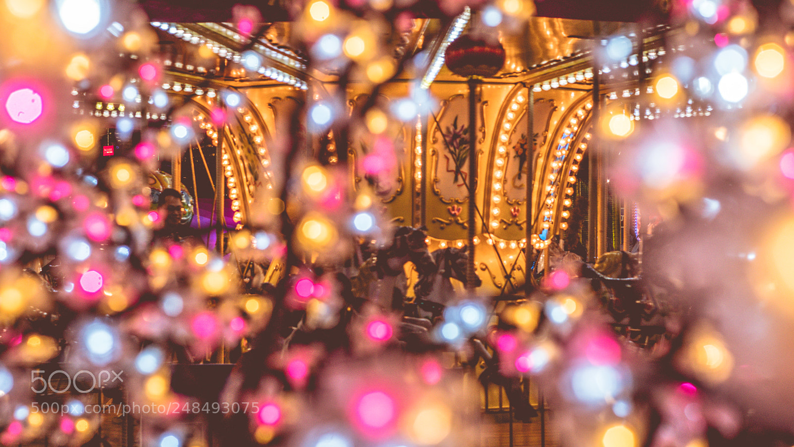 Sony a6300 sample photo. Merry go round photography