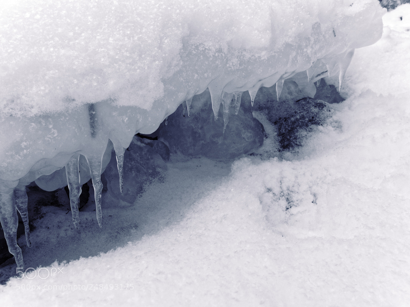 Olympus PEN E-PL3 sample photo. Crocodile teeth ;) photography