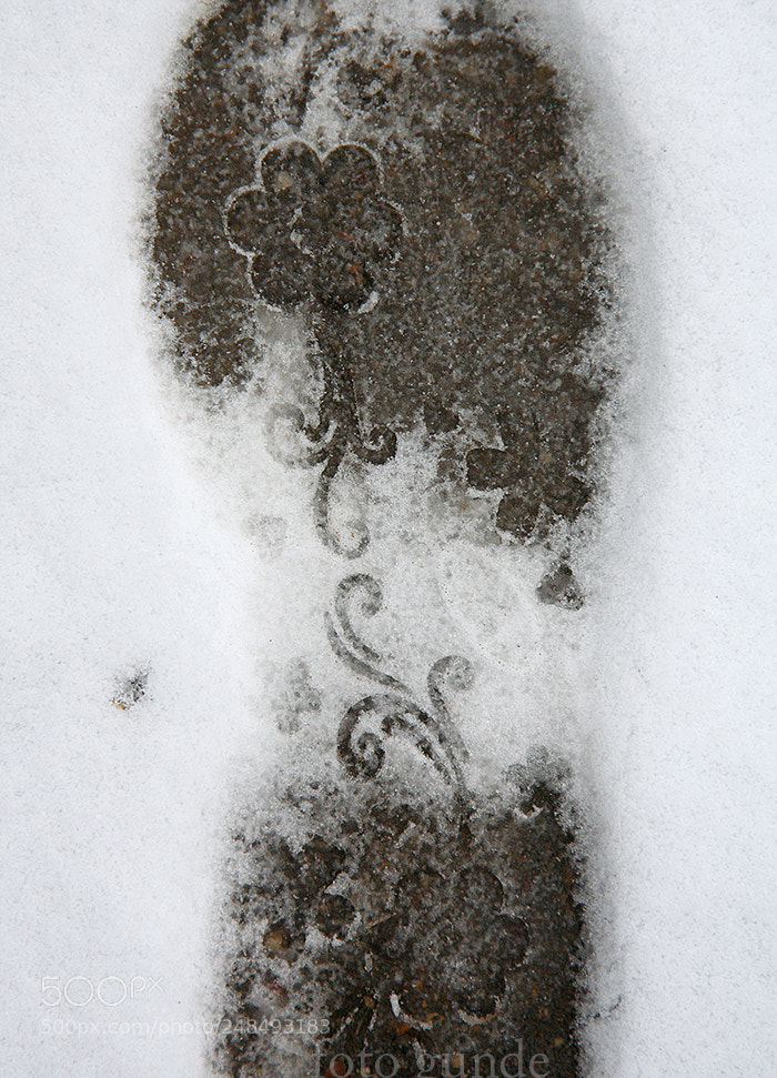 Canon EOS 5D sample photo. Spring is coming! photography