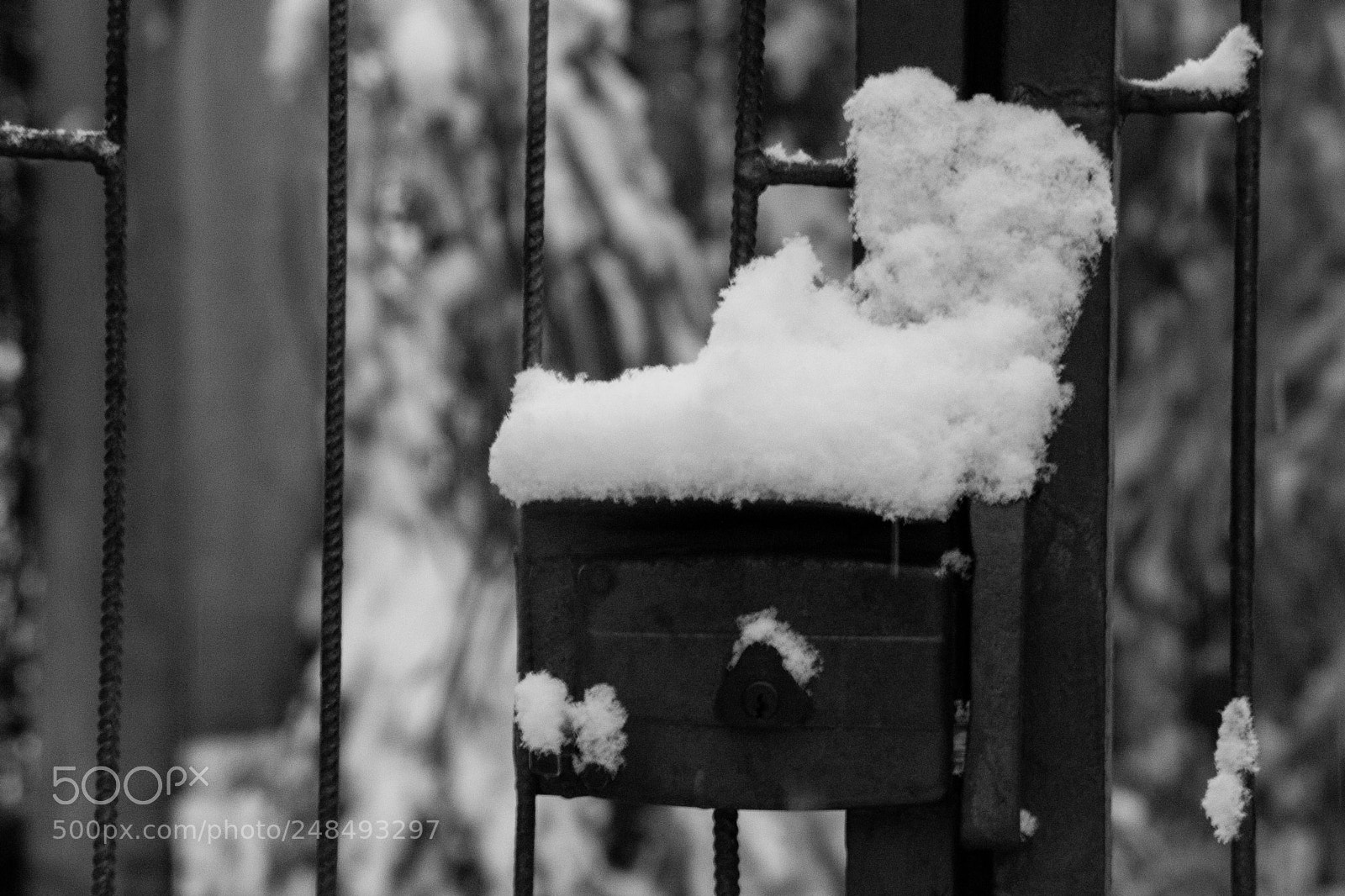 Nikon D3100 sample photo. Gate photography