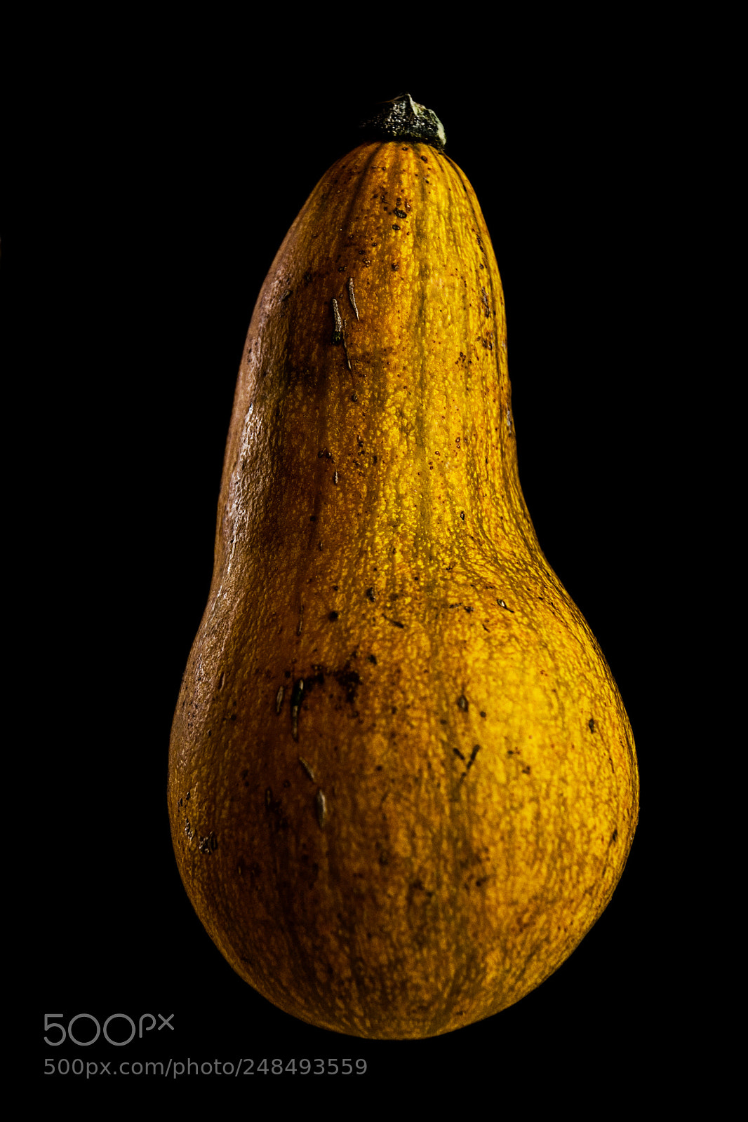 Nikon D7200 sample photo. Pumpkin photography