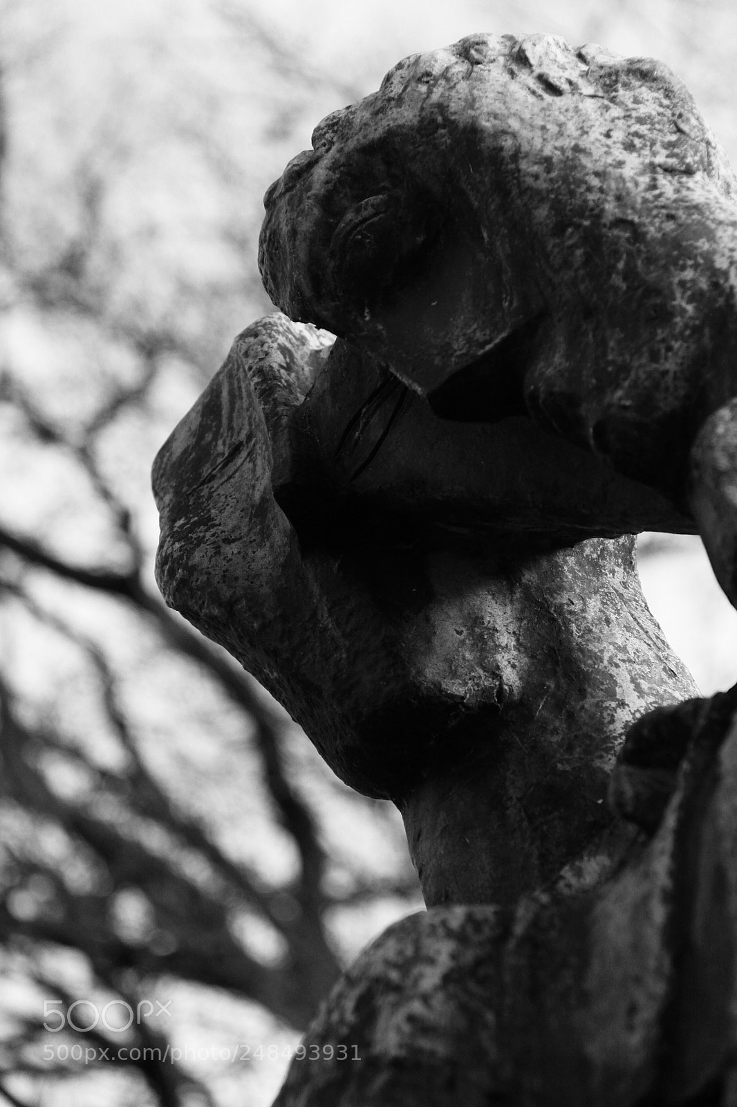 Canon EOS 50D sample photo. Vincent and theo photography