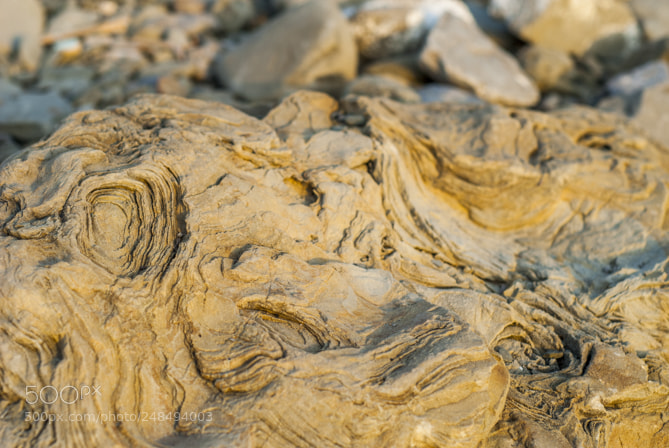 Nikon D200 sample photo. Textures in the warm photography