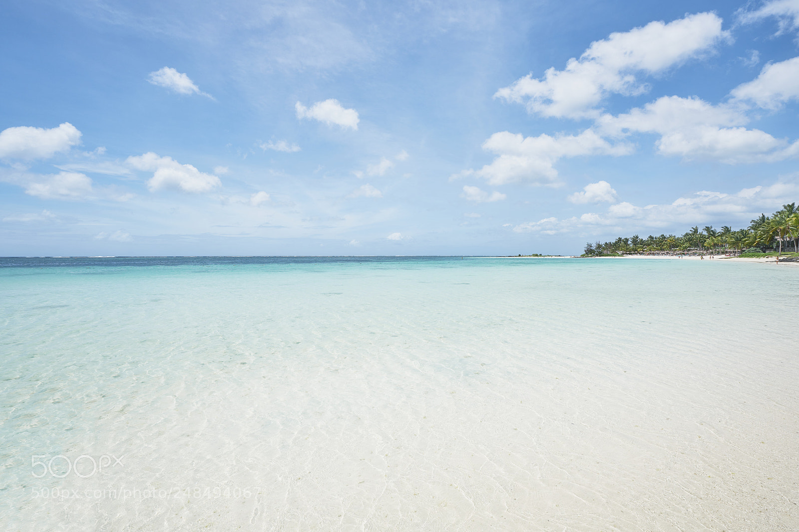 Sony a7R II sample photo. Day sixty six photography