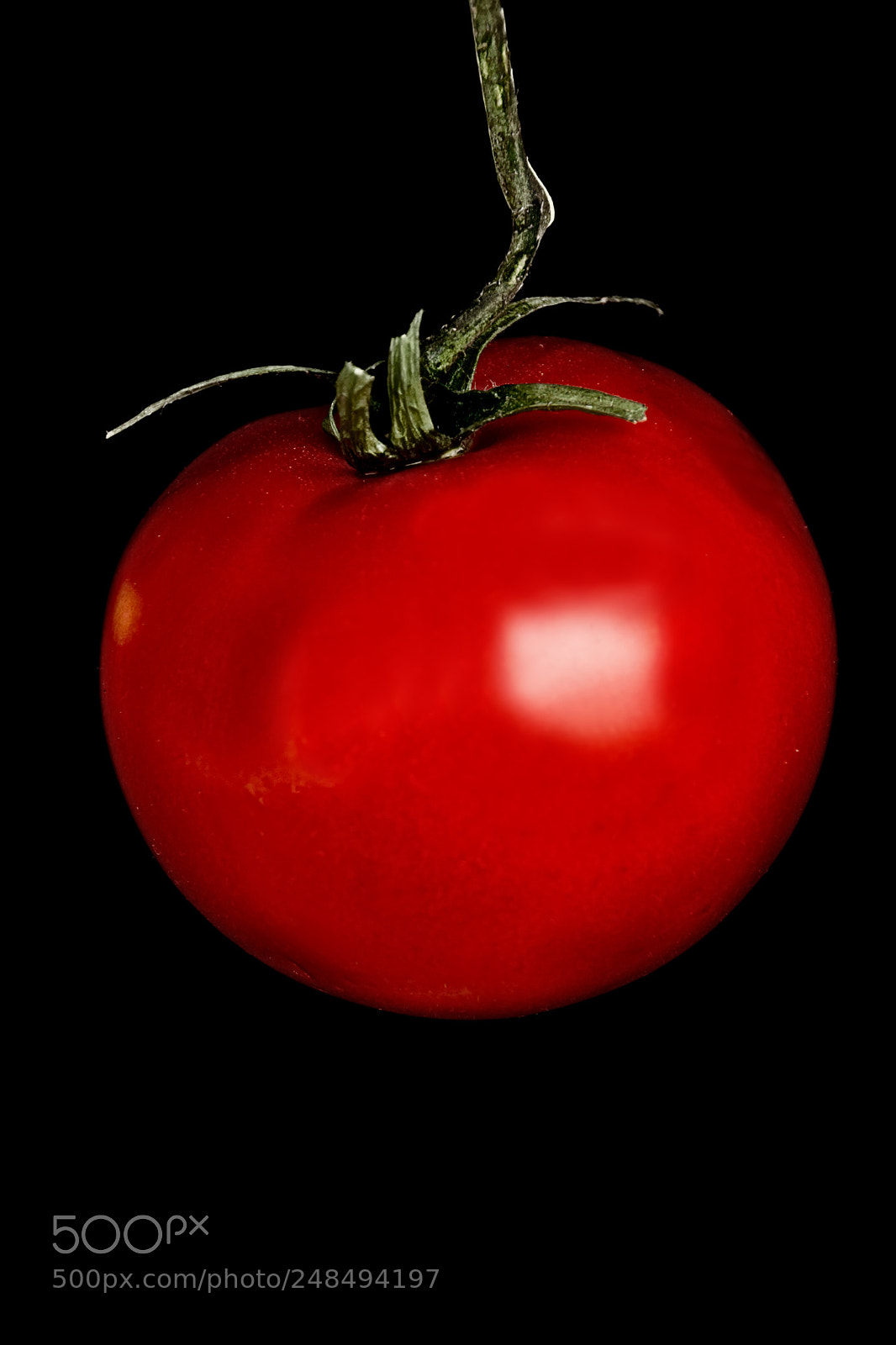 Nikon D7200 sample photo. Potato photography