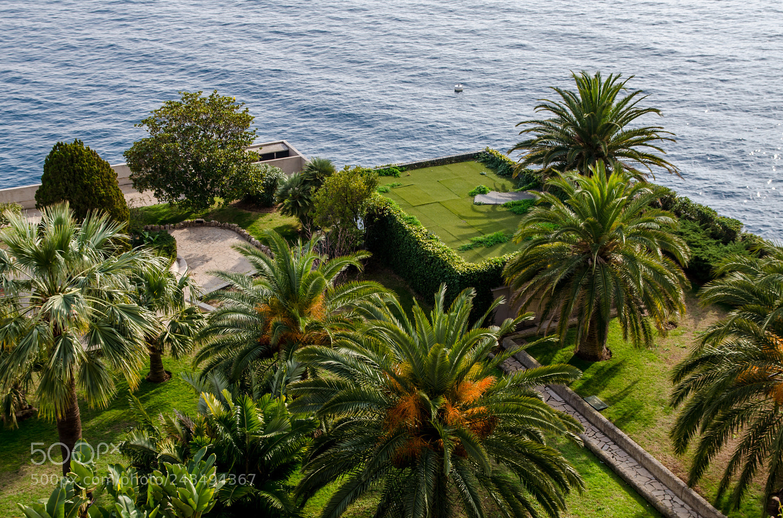 Nikon D5100 sample photo. Park down below photography