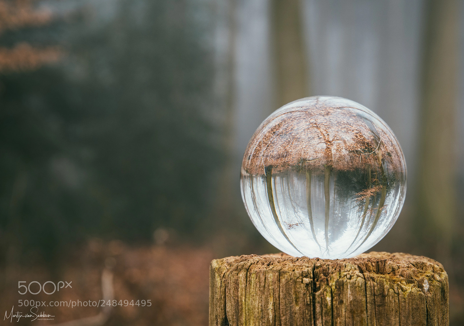 Nikon D500 sample photo. My best glass ball photography