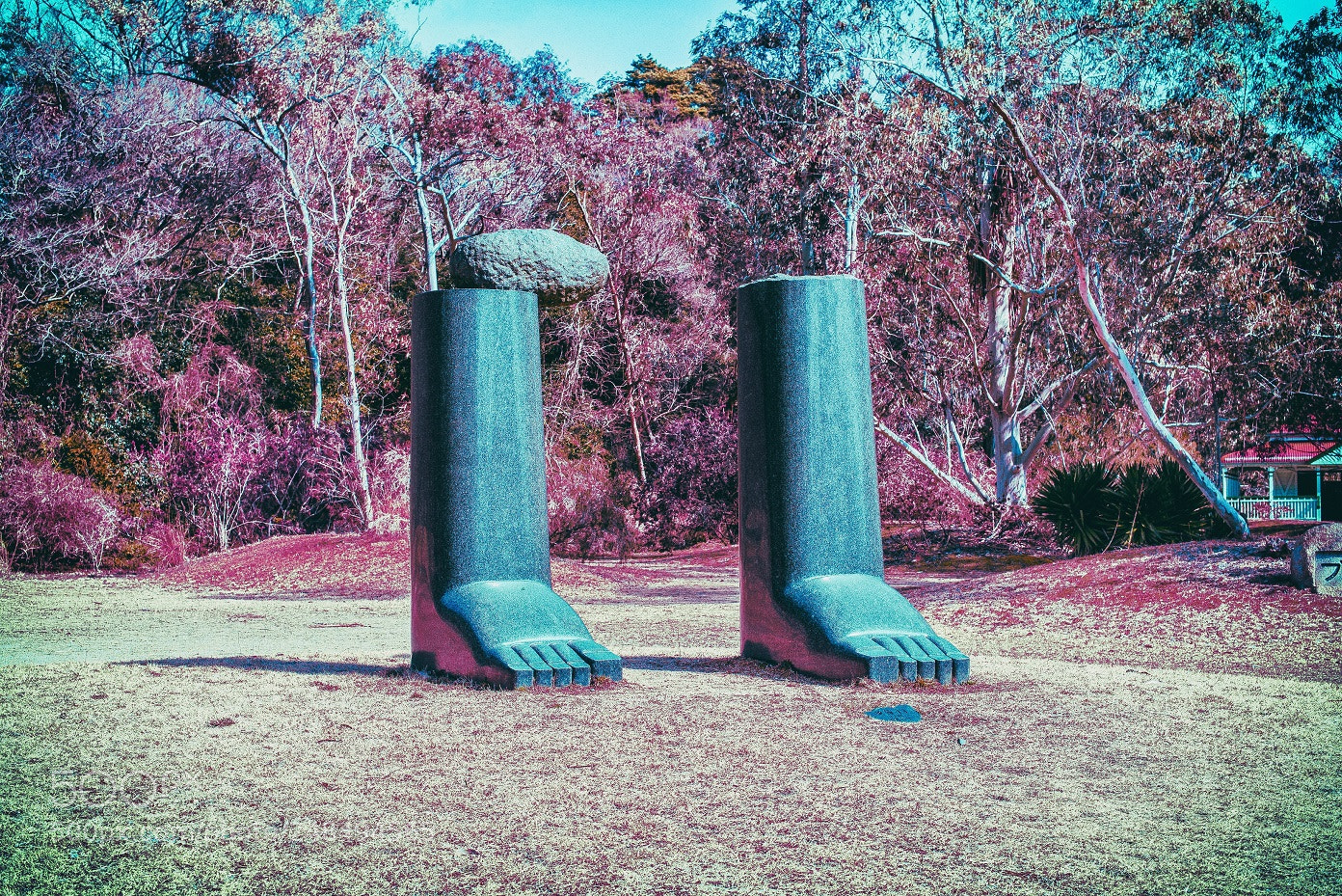 Nikon D800E sample photo. Forgotten giant's feet photography