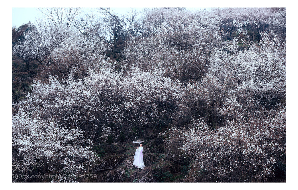 Nikon D810 sample photo. Untitled photography