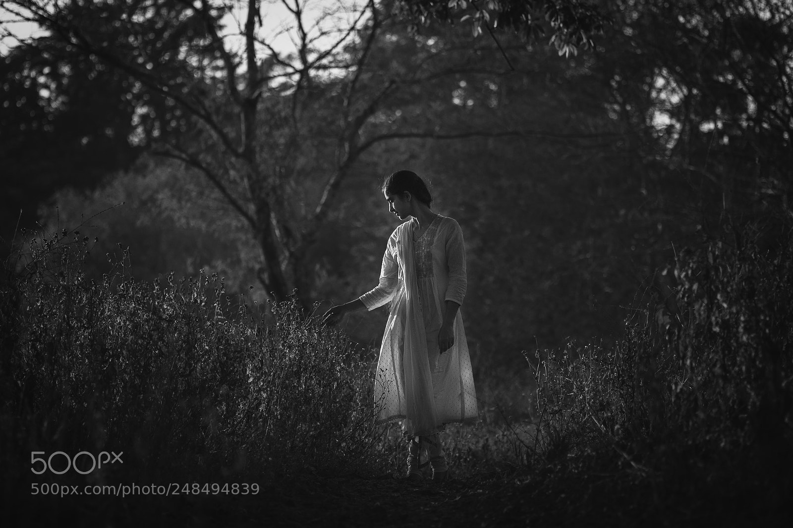 Canon EOS 80D sample photo. Search of the soul photography