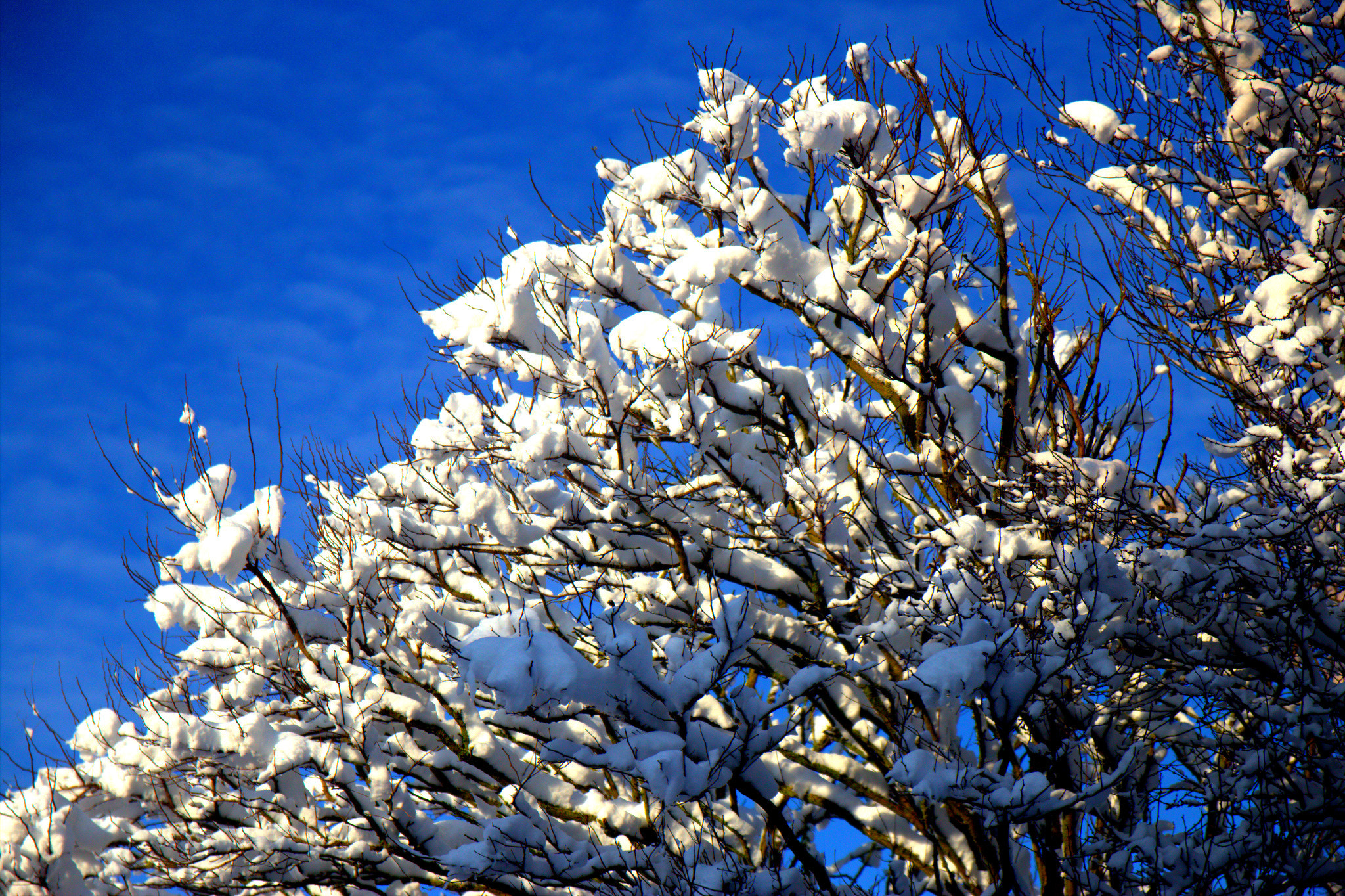 Canon EOS 600D (Rebel EOS T3i / EOS Kiss X5) + Sigma 17-70mm F2.8-4 DC Macro OS HSM sample photo. Sunny day after snowing day photography