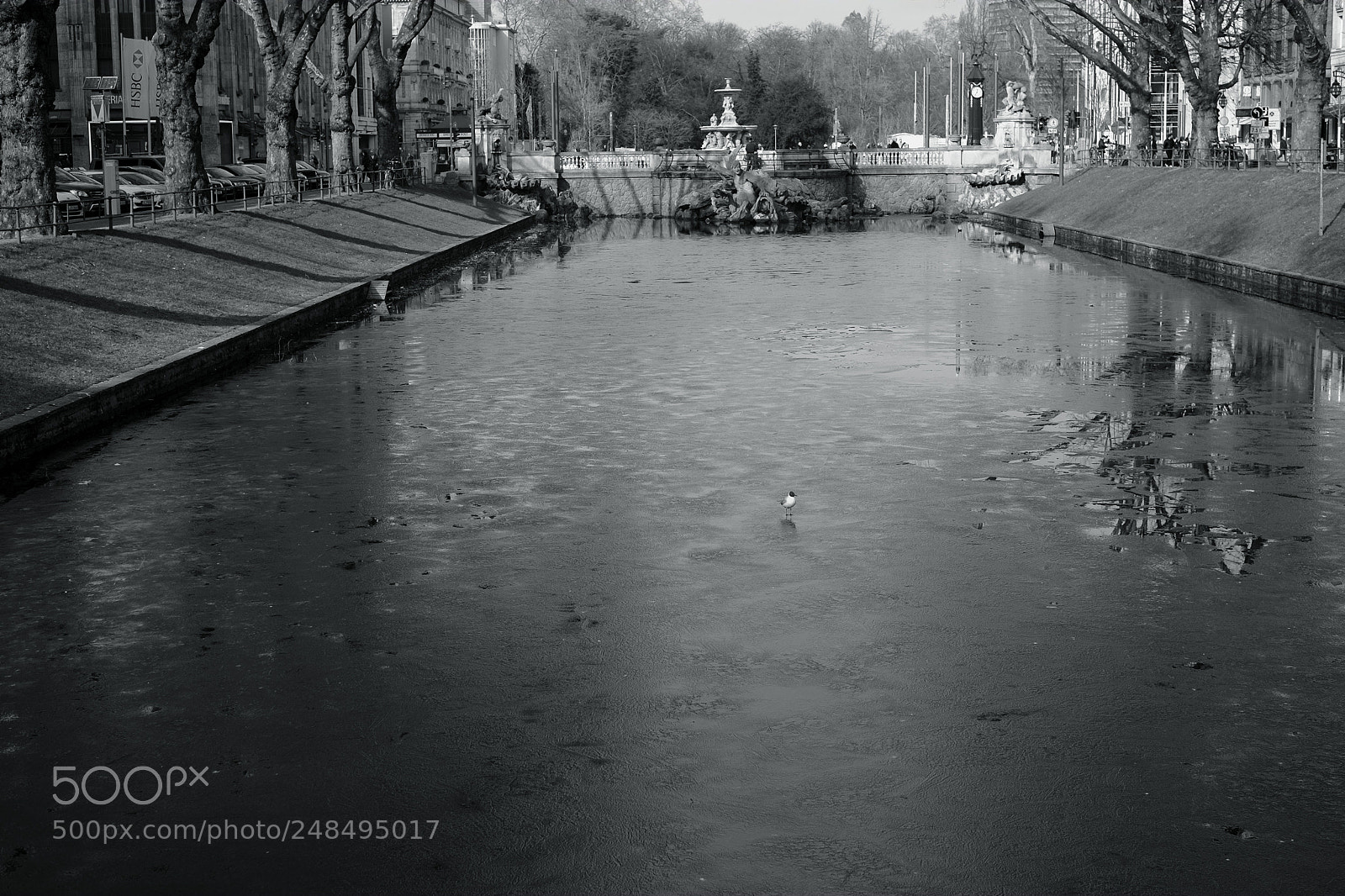 Fujifilm X-E1 sample photo. Spring light on ice photography