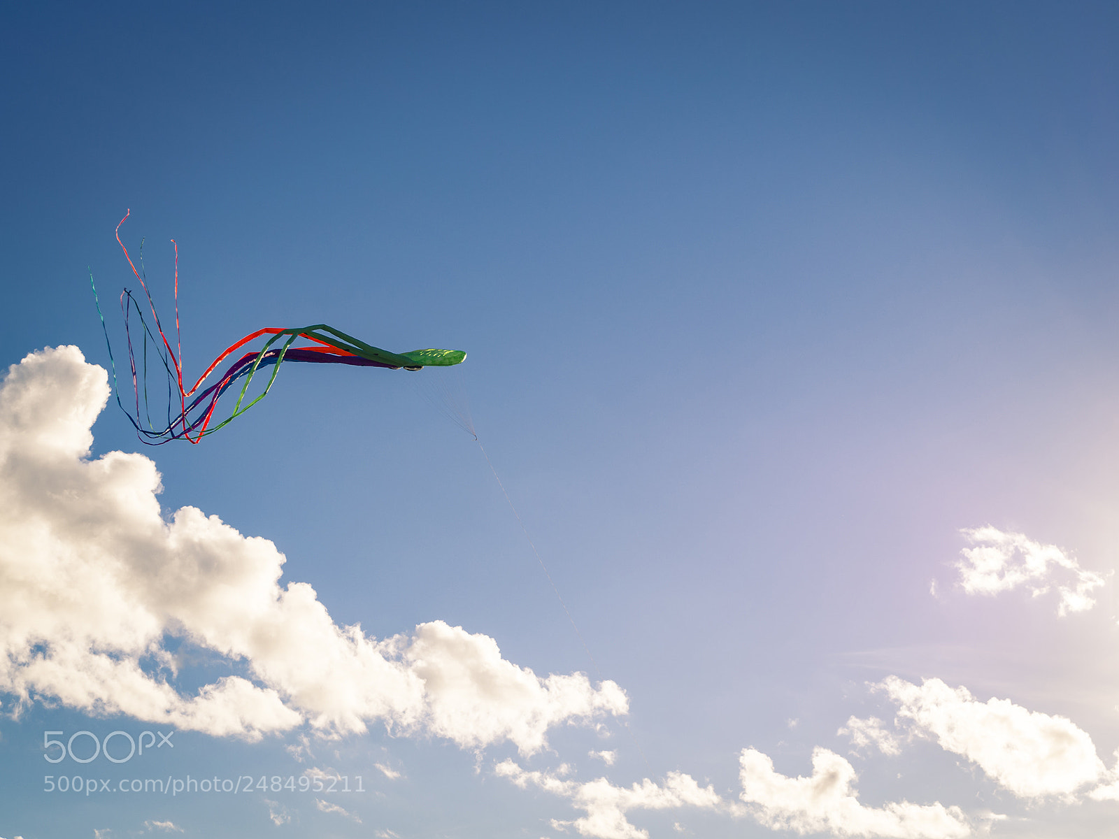 Olympus OM-D E-M10 II sample photo. Flying octopus. photography