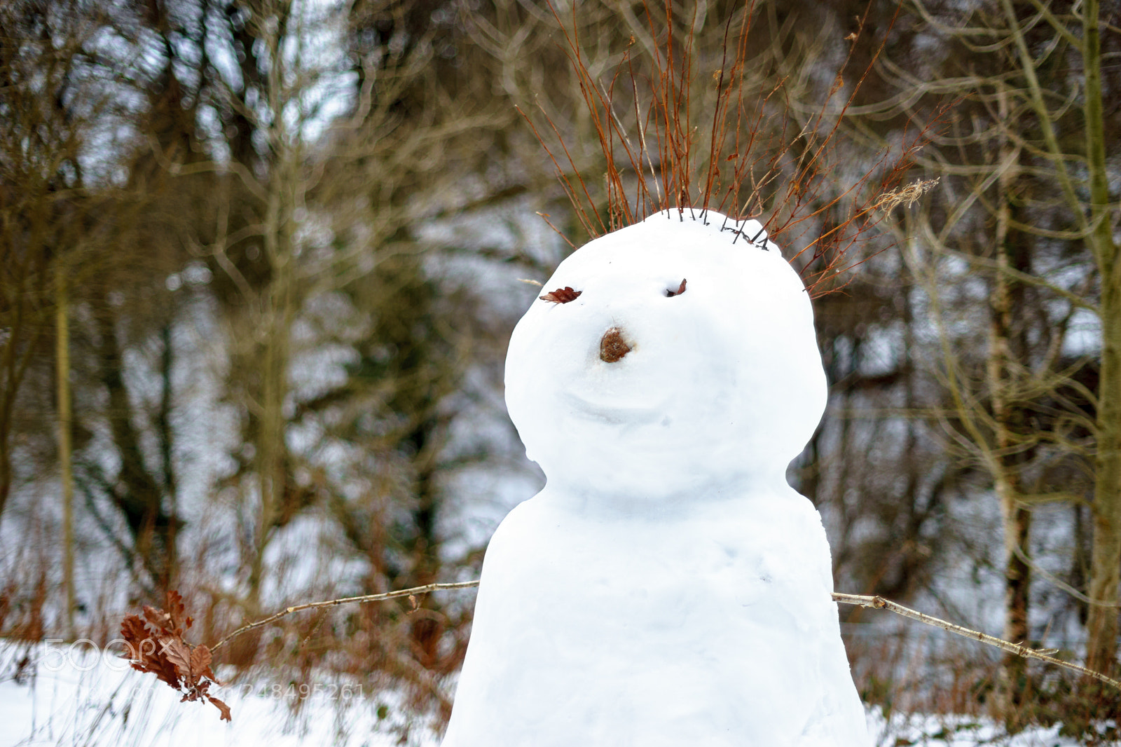Sony a7 sample photo. Mr snowman photography