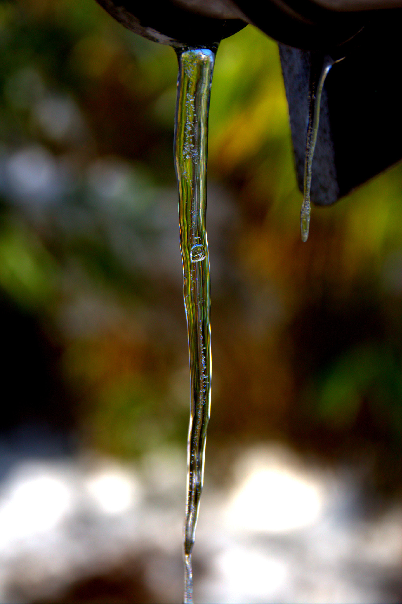 Canon EOS 600D (Rebel EOS T3i / EOS Kiss X5) + Sigma 17-70mm F2.8-4 DC Macro OS HSM sample photo. Ice tongue photography