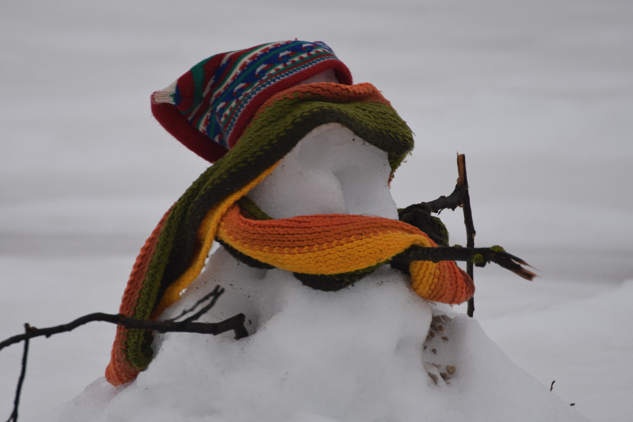 Nikon D3400 sample photo. Snowman photography