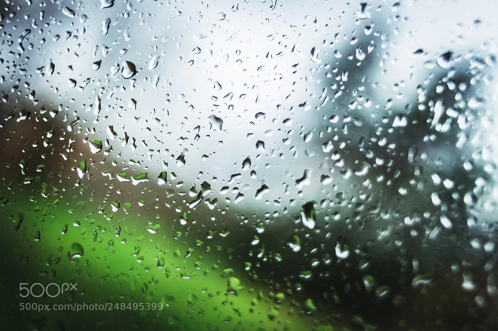 Nikon D4 sample photo. Rain drops on a photography