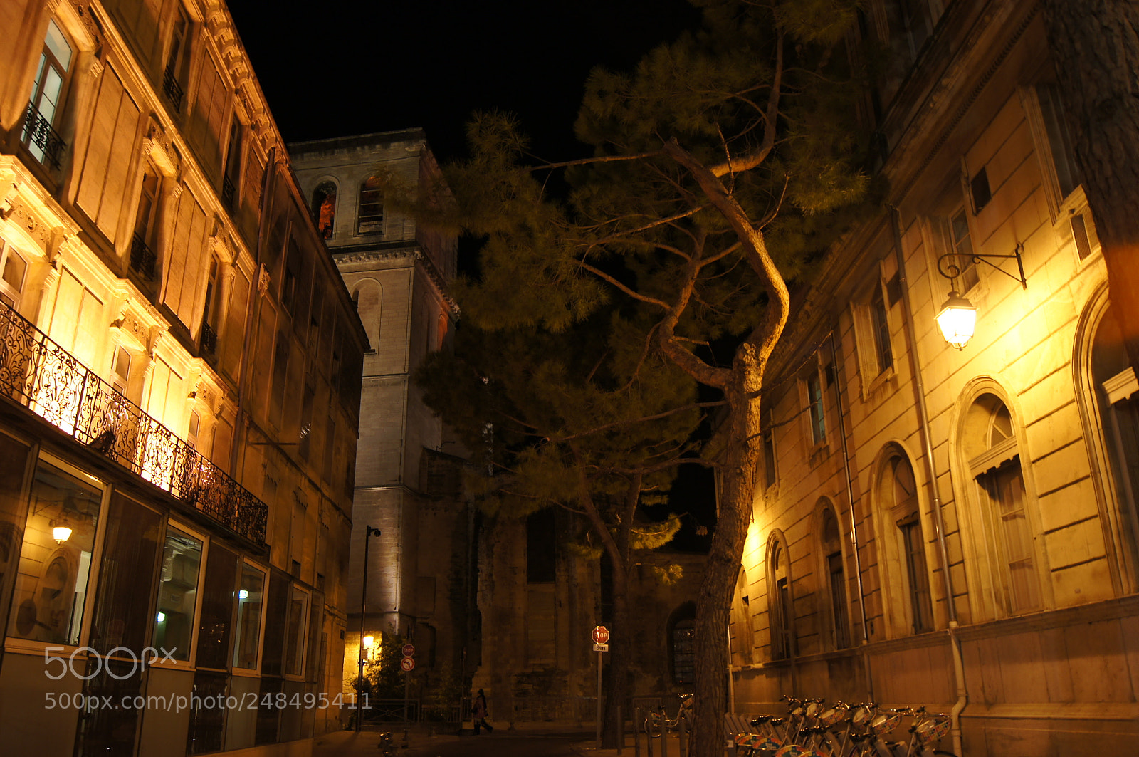 Sony SLT-A55 (SLT-A55V) sample photo. Avignon by night ii photography