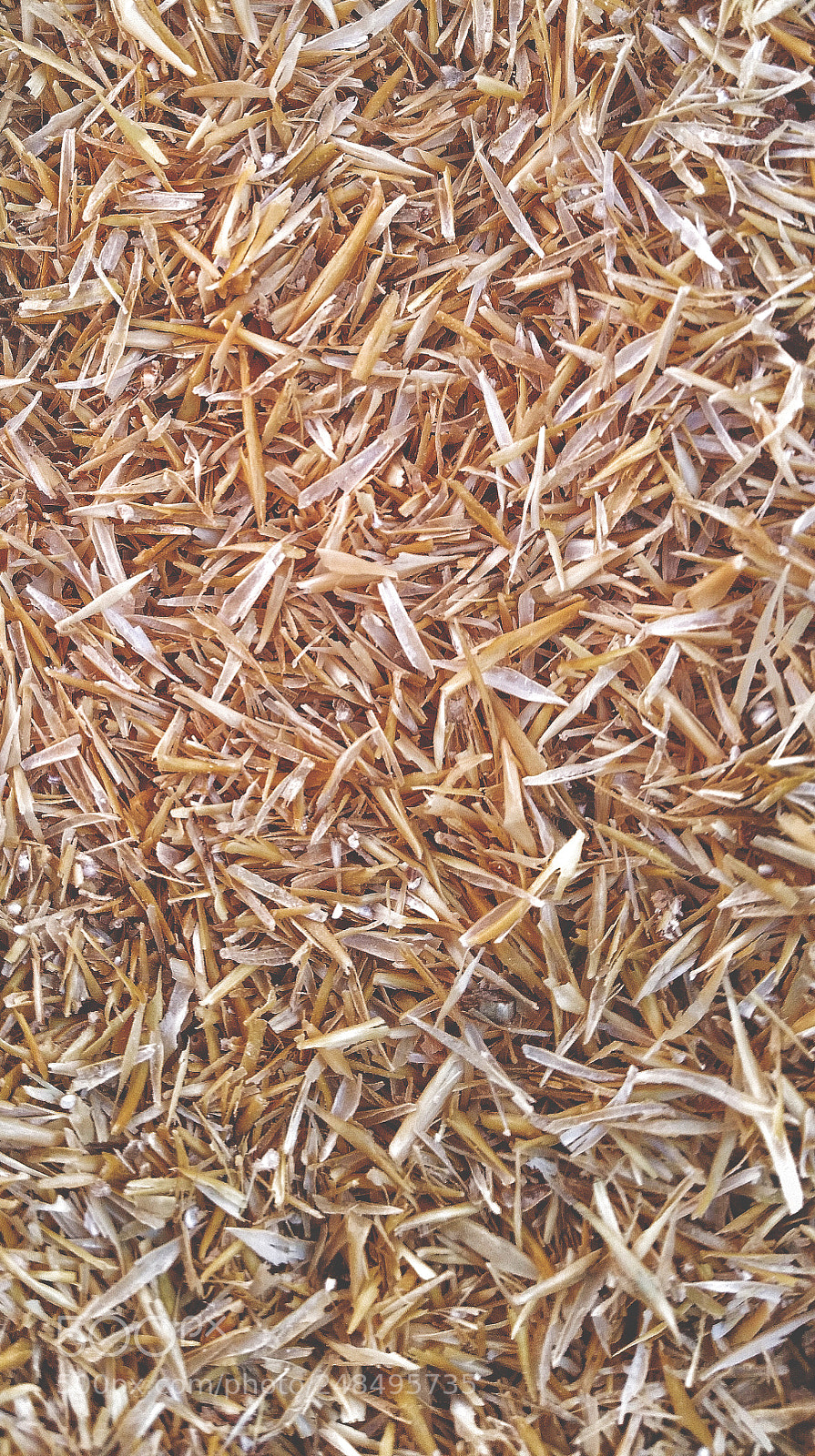 Samsung Galaxy S5 sample photo. Texture photography